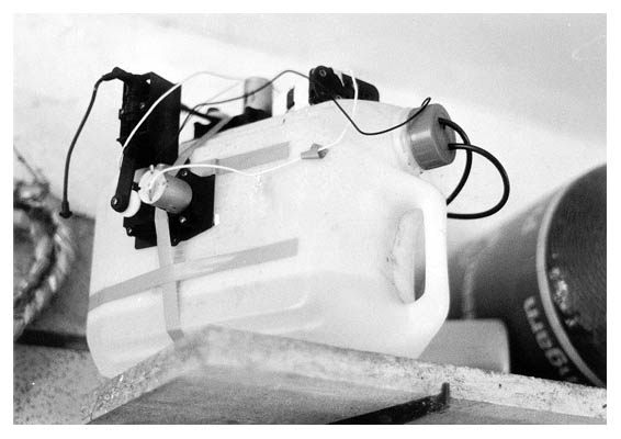 Auf dem Bord Gunters Ingenieurskunst. Rechts daneben das Tau, das f&uuml;r die Spinnenweben in der Pausenhalle benutzt wurde.