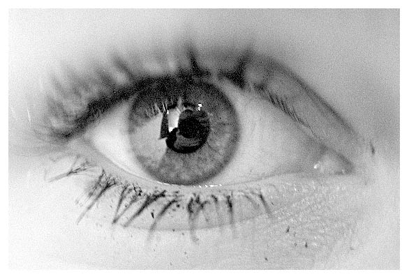 Conny Flammes Auge. 2004.