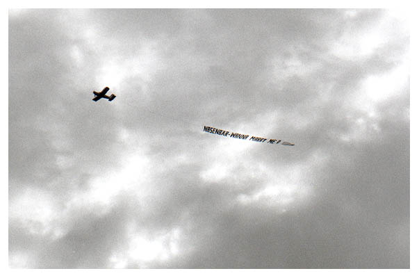 Nasenb&auml;r. NASENB&Auml;R! 2002