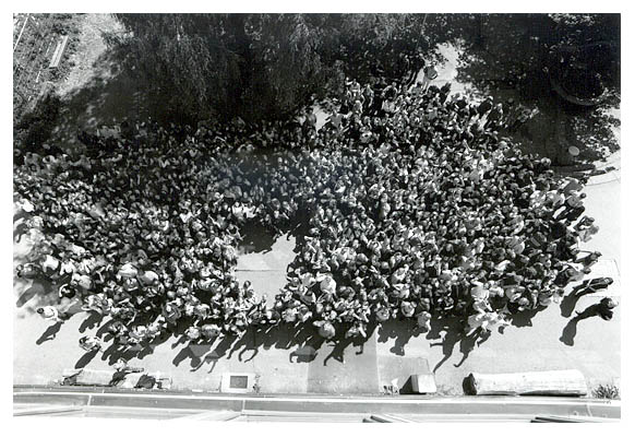 Die komplette HTS. 2006.