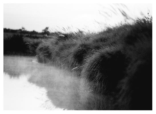 1989 am Rande Wester-Ohrstedts.